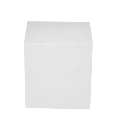 Picture of BOUTIQUE TISSUE SQUARE WHITE BOX-1*36BOX