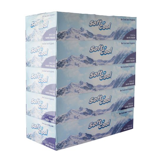 Picture of SnC - FACIAL TISSUE 100X2PLY 5PCX6SLV