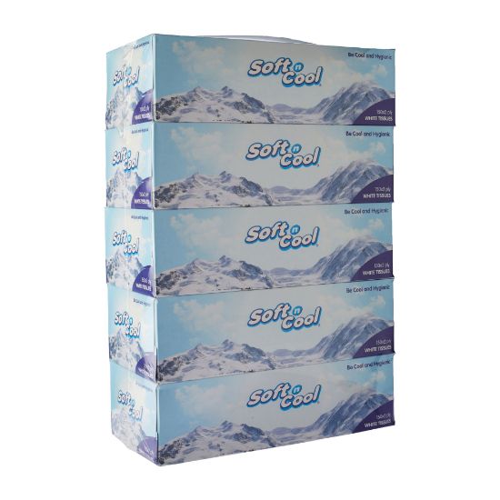 Picture of SnC - FACIAL TISSUE 150X2PLY 5PCX6SLV