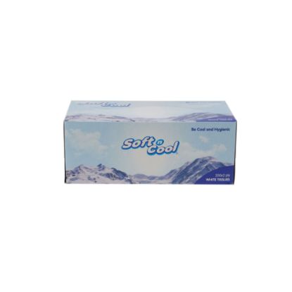 Picture of SnC - FACIAL TISSUE 200X2PLY 5PCX6SLV