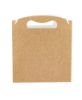 Picture of CARRY PACK LARGE 265X128X180mm 1X100PCS