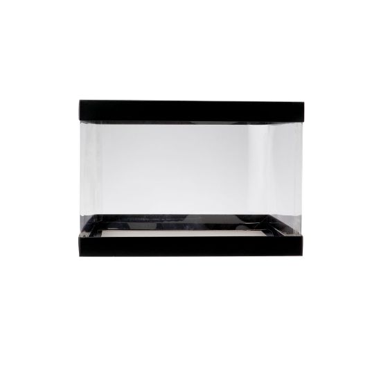 Picture of PVC CAKE BOX 13*13*8 INCH BLACK BASE-20P