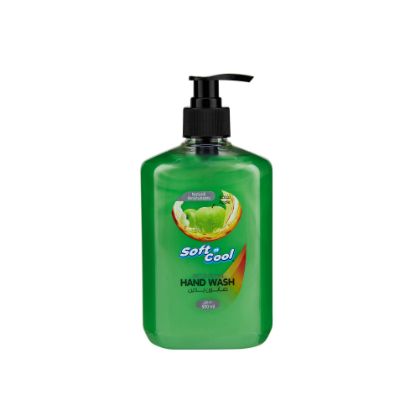 Picture of HAND WAH LIQUID_GREEN APPLE 500ML 1X24PC