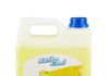 Picture of SOFT N COOL-HAND WASH LQD_LEMON 5LTRX4PC