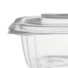 Picture of CLEAR HINGED OVAL CONT PTS500(ml)-250PC