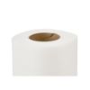 Picture of TOILET ROLL 100 SHETS LAMINTED 10X10ROLL