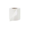 Picture of PAPER TOILET ROLL 300SHT-10X10S ( BLUE)